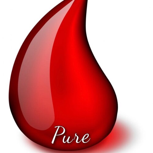 Musician, recording, video editing, politics #Pureblood #novax