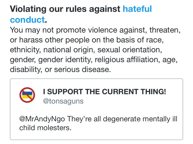 This is interesting. Apparently Twitter thinks Child Molesters are a protected group of people with a specific sexual orientation.