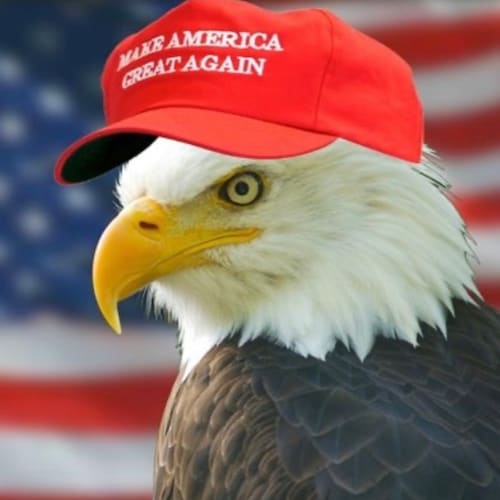 Proud Patriot. Love My Country. 🇺🇸