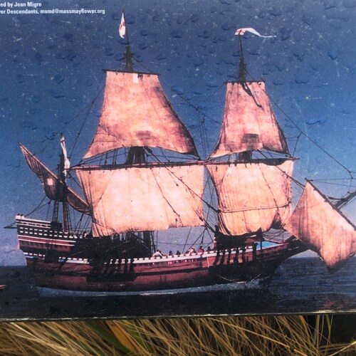 Visit 新中国人419's profile on GETTR. View their posts, photos, videos, and connect with them on the social platform.