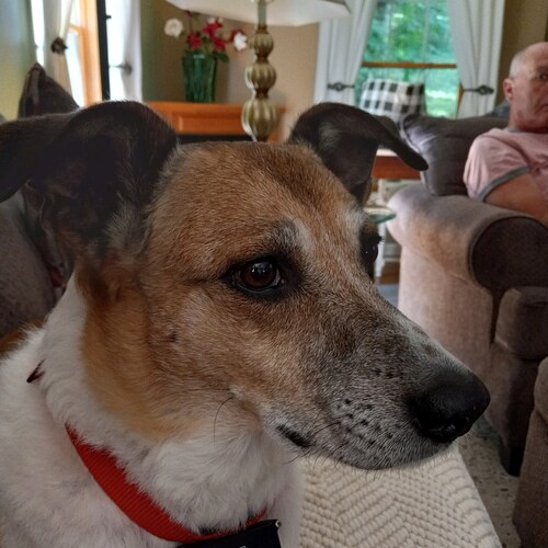 Visit bennypal2058's profile on GETTR. View their posts, photos, videos, and connect with them on the social platform.