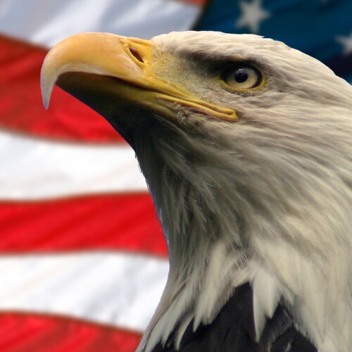 Freedom, Family, & Bitcoin!!! Embrace the suck libtards!