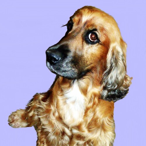 Visit gyllcooll's profile on GETTR. View their posts, photos, videos, and connect with them on the social platform.