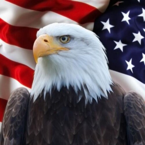 Visit Kal's profile on GETTR. View their posts, photos, videos, and connect with them on the social platform.