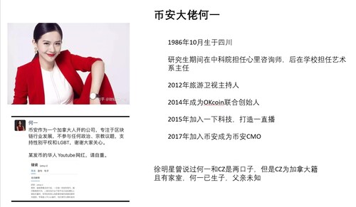 此位何许人也?另一只燕子吗?