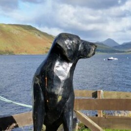 “I will not let anyone walk through my mind with their dirty feet.”

― Mahatma Gandhi