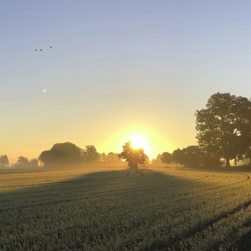 Proud father / Budoka / Lover of peace & harmony / Z28.2