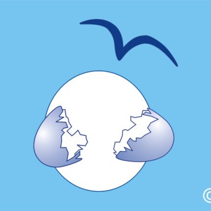 Composer/songwriter, graphic artist, retired art/music teacher, experience/training in dance/ballet/choreography.  Seek ...