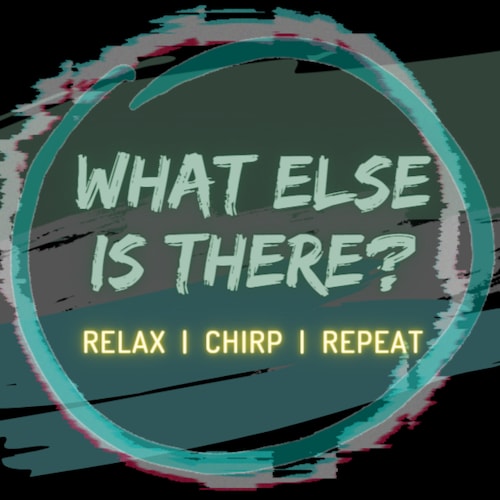 RELAX | CHIRP | REPEAT
Crickets, cicadas & rain ambient noise created in different scenarios and/or locations around th...