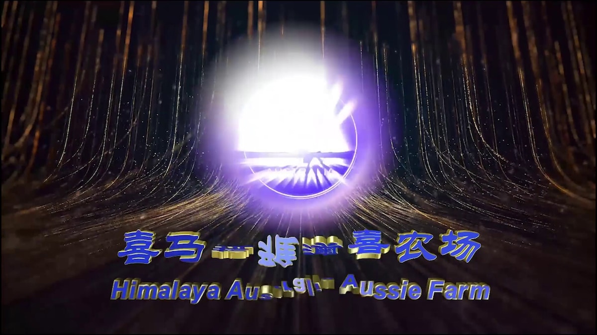 <Worse than the disease> Episode 7 "The bio-distribution of #mRNA #vaccine"
<#比疫病还可怕>（七）...