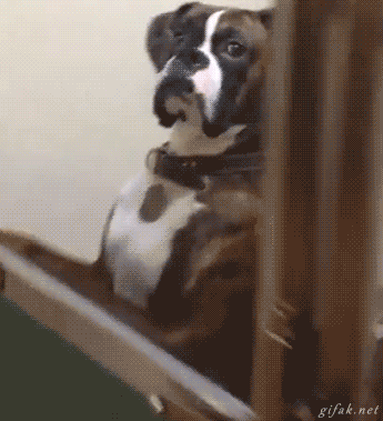 Biden beware. 

I'm watching you!