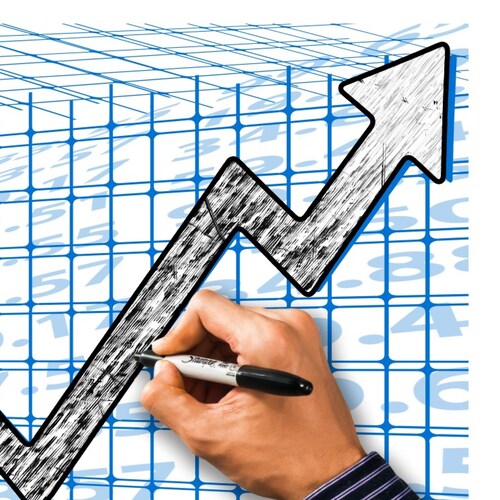 Nous proposons différents services aux entreprises et aux particuliers.