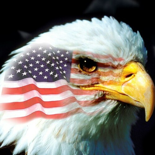 Visit richardcunningham's profile on GETTR. View their posts, photos, videos, and connect with them on the social platform.