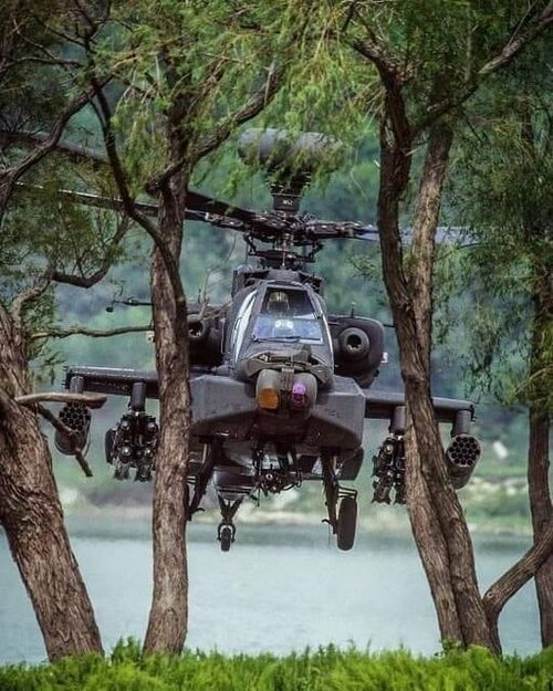 I'm beginning to think the Government is keeping a close eye on me! The mosquitoes out by the lake are getting pretty big for this time of year!