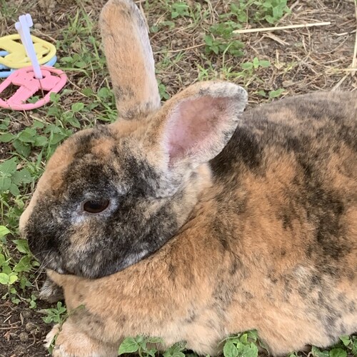 Conservative, Born in Arkansas, Married, 2 sons, Jesus is Lord! Love the Great State of Texas, NRA Gun Owner- America Fi...