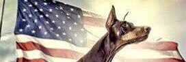 Doberdad1