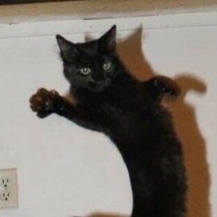 I saw a mf named dick wood!! wtf