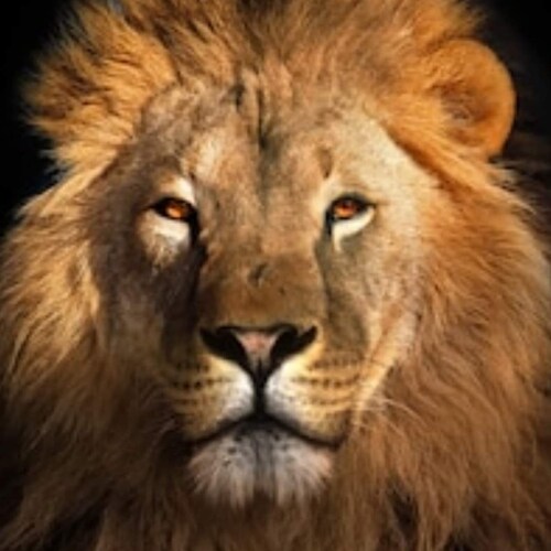 ☘Opinionated, a little bit eccentric and can be incorrigible. I say what I mean and mean what I say☘️