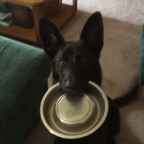 Visit 2ABob 🍊's profile on GETTR. View their posts, photos, videos, and connect with them on the social platform.