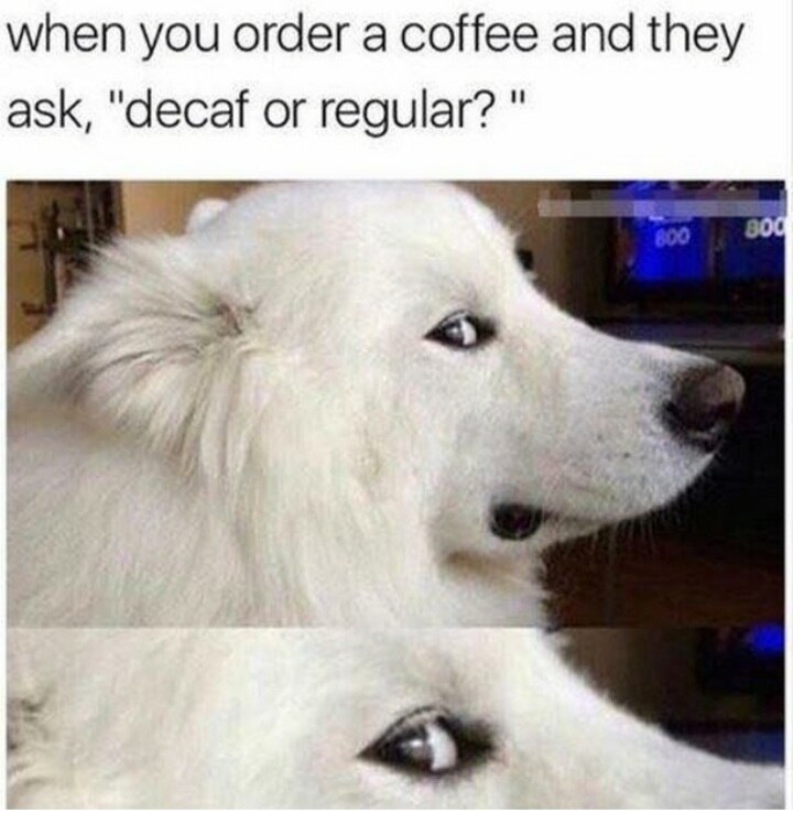 View GregLaMar's post on GETTR. Join the discussion, share your thoughts, and connect with the community.