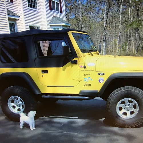 MAGA WWG1WGA FREEDOM 🍊🇺🇸