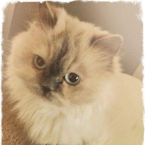 Visit WakaKawami's profile on GETTR. View their posts, photos, videos, and connect with them on the social platform.