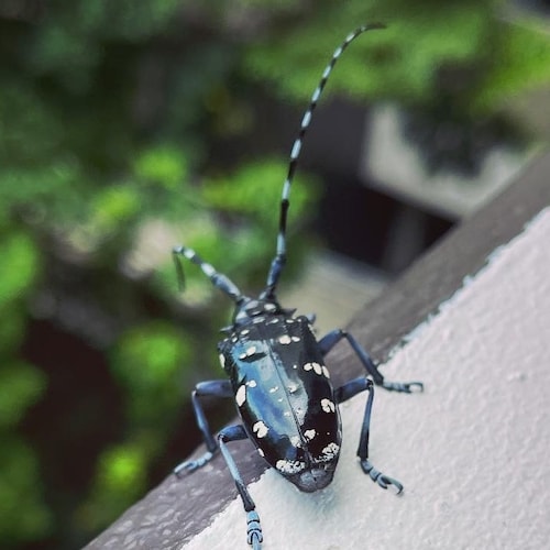 Visit nyx's profile on GETTR. View their posts, photos, videos, and connect with them on the social platform.