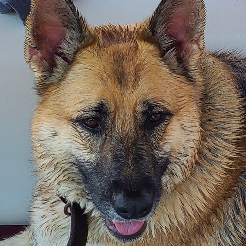 Trump Won!! I stand with our men and women in blue!! I stand with our military heros!!  God Bless The USA! I stand for t...