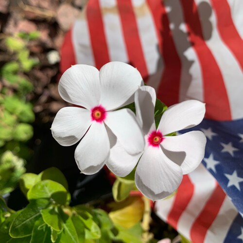 Visit rosieguy's profile on GETTR. View their posts, photos, videos, and connect with them on the social platform.