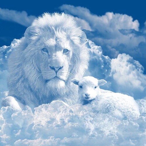 Above all, lift up the shield of faith with which you can extinguish all the flaming arrows of the evil one.  Ephesians ...