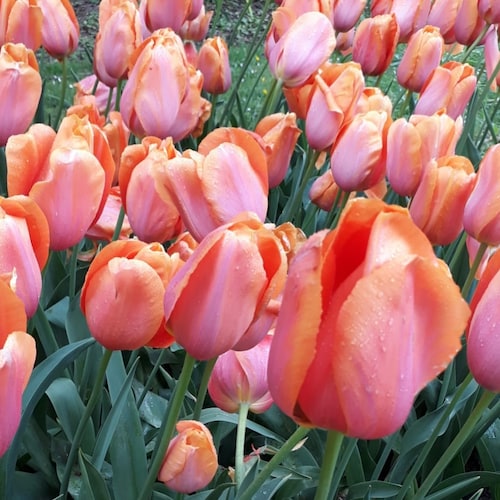 Visit multilanguage's profile on GETTR. View their posts, photos, videos, and connect with them on the social platform.