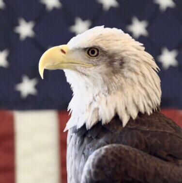 We WILL Save America