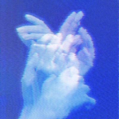 they’re beautiful, i can myself horns too, you see?