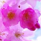 子芊🔥🔥🔥