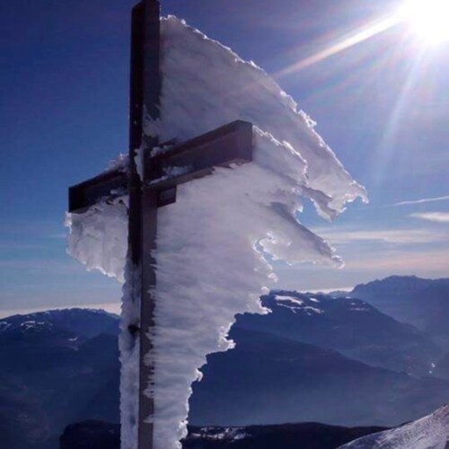 Visit TNT2002 ✝️🇺🇸🇮🇹's profile on GETTR. View their posts, photos, videos, and connect with them on the social platform.