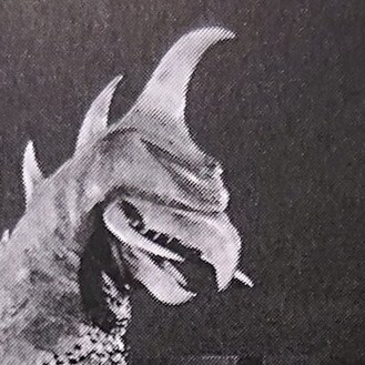 I read a lot and Play magic the gathering