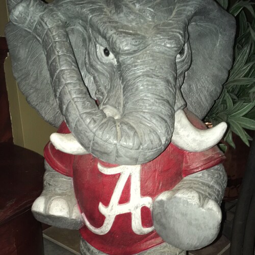 Husband, Father, conservative ROLL TIDE MAGA