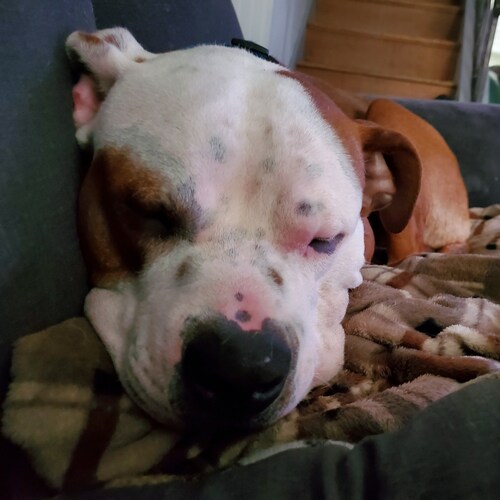 Just a small town New Yorker.