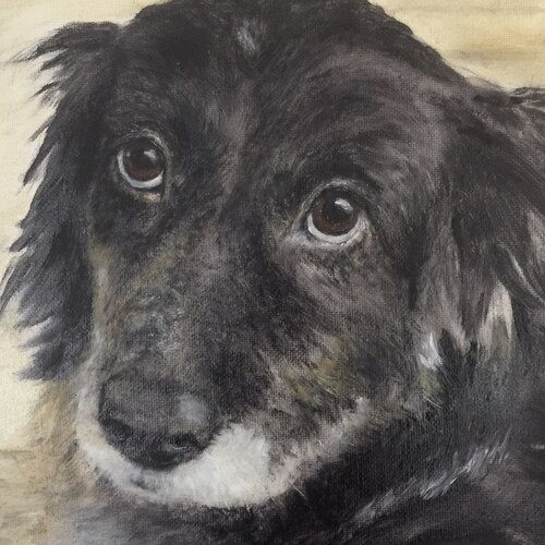 #AmericaFirst Joined GETTR to connect with Patriots uniting for Freedom!