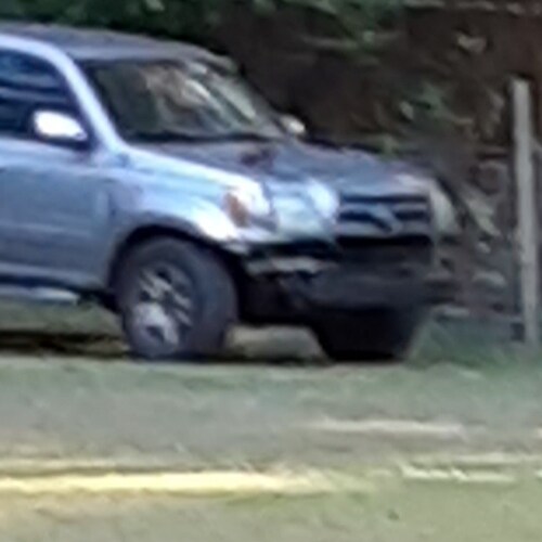 self employed unvaxxed and untested freedom loving hunting and fishing pappa.