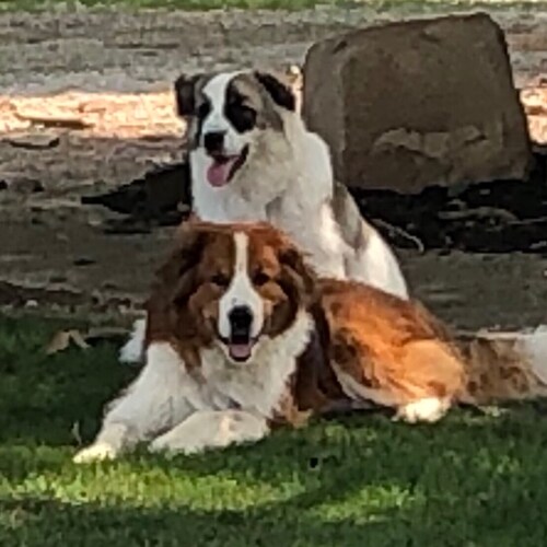 1A,2A2A. get outside