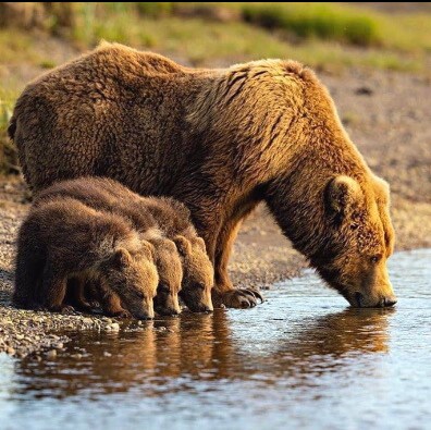 Evil prevails when good men do nothing!!