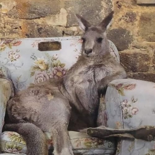 Visit Welland's profile on GETTR. View their posts, photos, videos, and connect with them on the social platform.