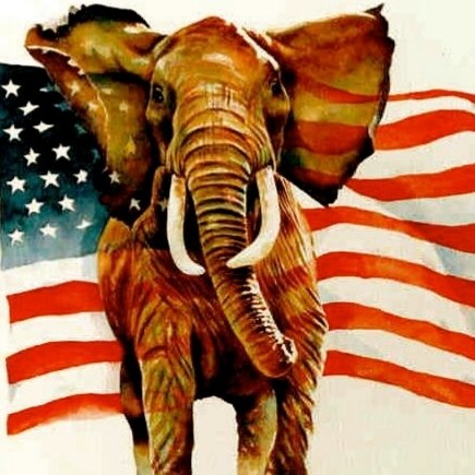 Fighting for the Constitution from SD CA