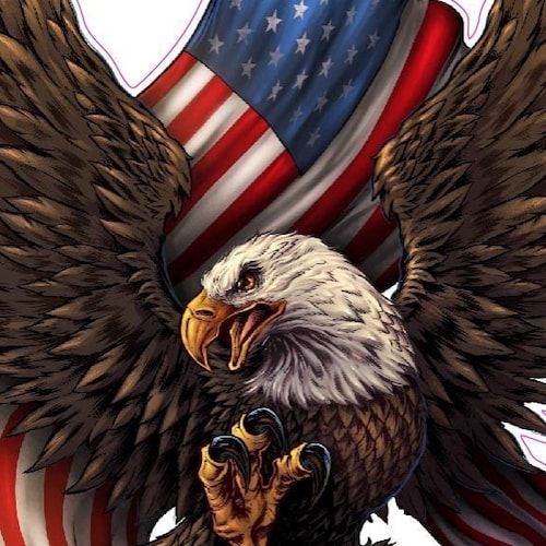 Pro Trump Conservative, America & American citizens FIRST.
       I AM ULTRA MAGA!!!. 

Career radio broadcaster/media 4...