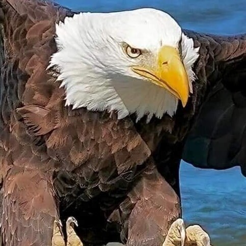 Visit MikeGarris's profile on GETTR. View their posts, photos, videos, and connect with them on the social platform.