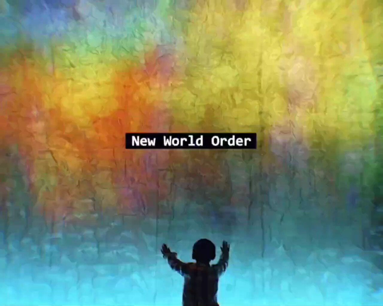 Trump was Elected while Joe was Selected and is Obamas 3rd term to bring in The New World Order via ...