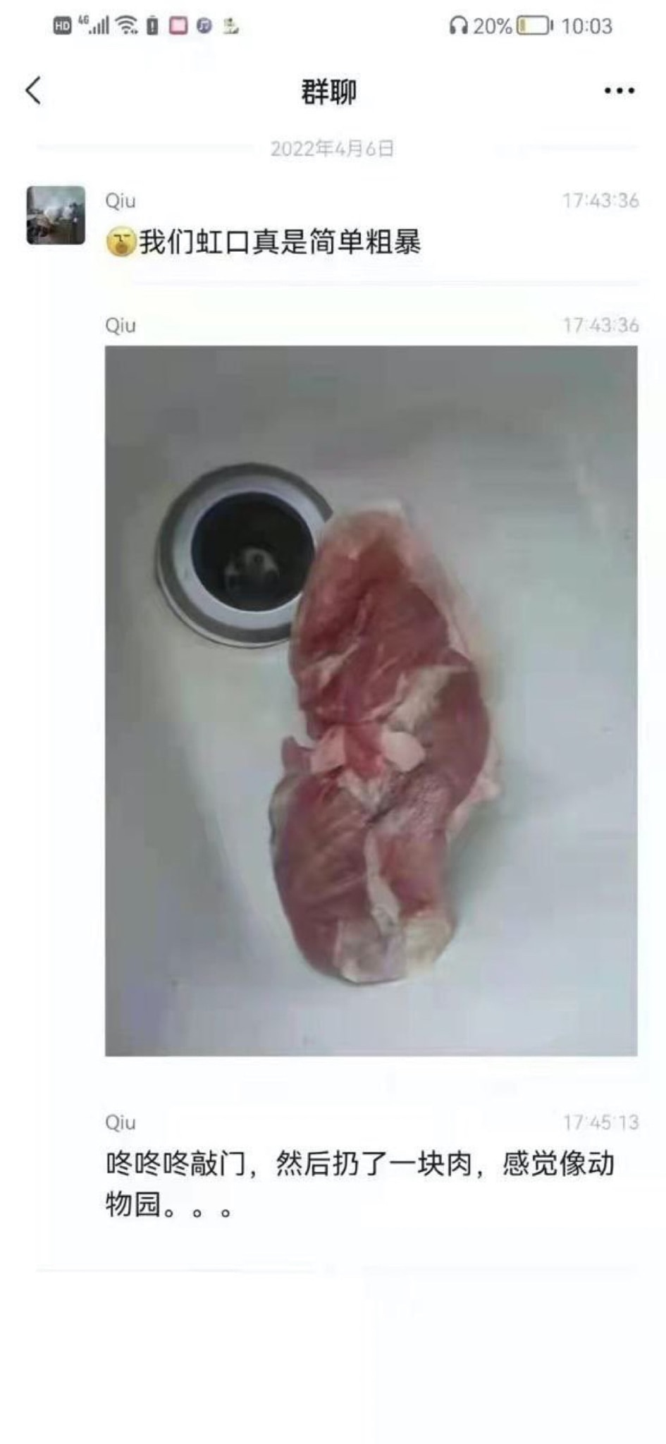 咚咚咚敲门，然后扔了一块肉，感觉像动物园😓