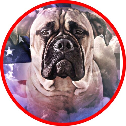 TRUTH SEEKER ✝️🇺🇲✡️🌍 
Faith, Family, Freedom loving Christian Patriot...
husband, father and grandpa! TRUMP WON, now confirm his picks.