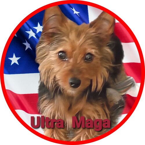 🇺🇸 God, Family, Happily Married, Patriot, MAGA, Pro Life, 1A, 2A, Constitution as written, Pro Gun, NRA 🇺🇸 No DMs Please🇺🇸